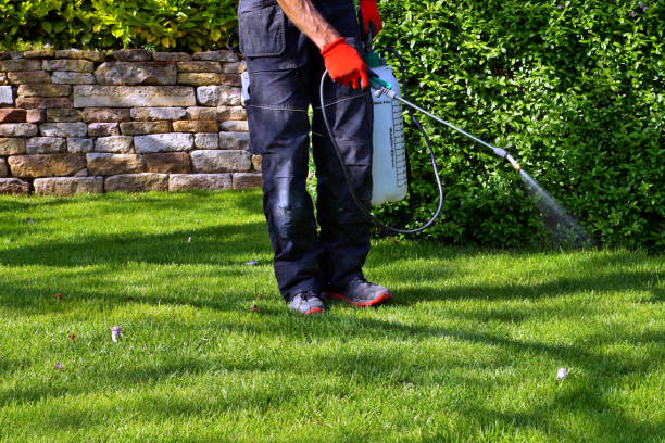 Best Outdoor Pest Control  in Honeyville, UT